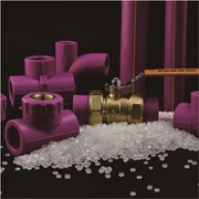 Anti-bacterial PPR Yeeb Nkab